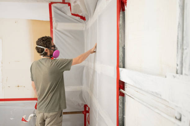 Best Crawl Space Mold Remediation  in Rockville, CT