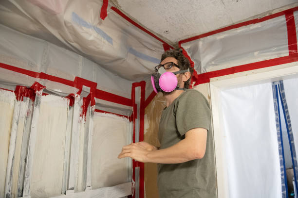 Environmental Consulting for Mold Prevention in Rockville, CT