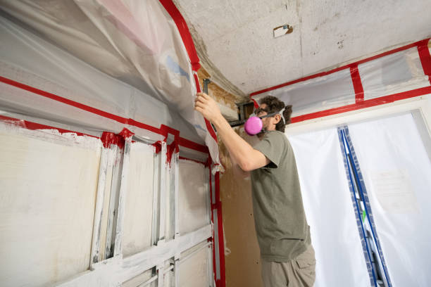 Best Post-Construction Mold Inspection  in Rockville, CT
