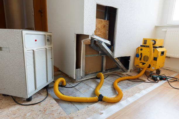 Dehumidification Services in Rockville, CT