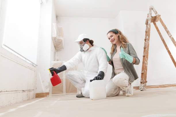 Best Industrial Mold Remediation  in Rockville, CT