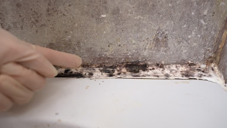 Best Indoor Air Quality Assessment  in Rockville, CT